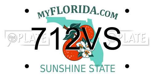 712VS Florida License Plate