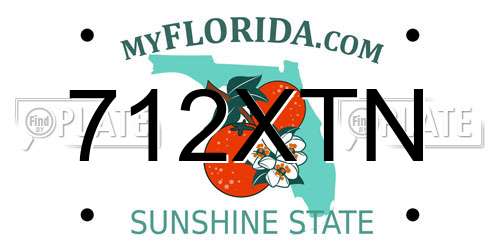 712XTN Florida License Plate