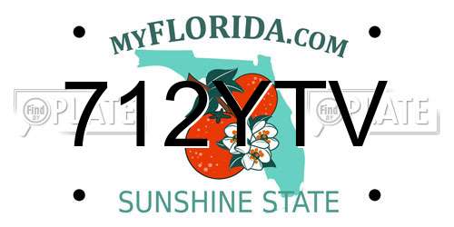 712YTV Florida License Plate