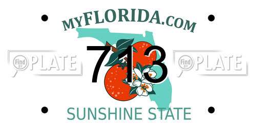 713 Florida License Plate