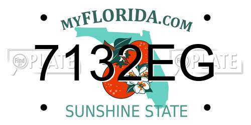 7132EG Florida License Plate