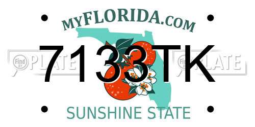 7133TK Florida License Plate