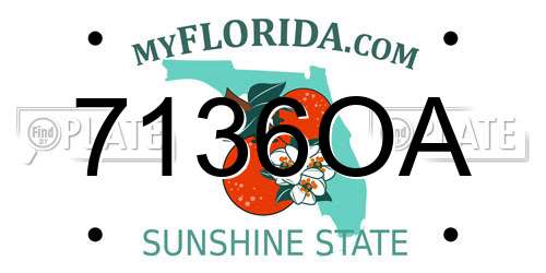 7136OA Florida License Plate