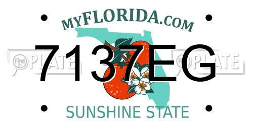 7137EG Florida License Plate