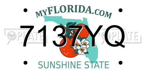 7137YQ Florida License Plate