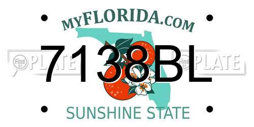 7138BL Florida License Plate