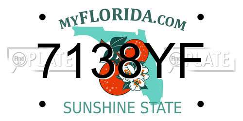 7138YF Florida License Plate