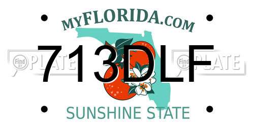 713DLF Florida License Plate