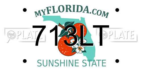 713LT Florida License Plate