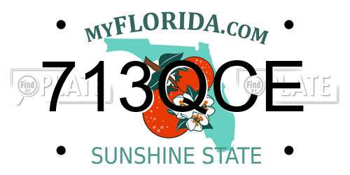713QCE Florida License Plate