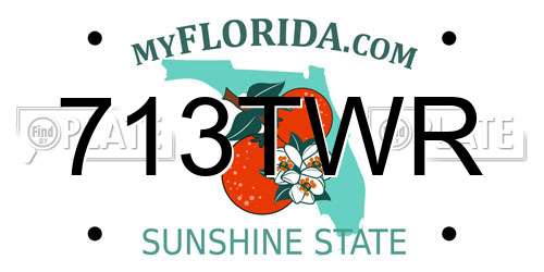 713TWR Florida License Plate