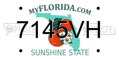 7145VH Florida License Plate