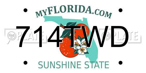 714TWD Florida License Plate