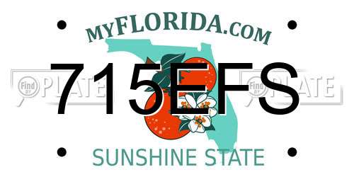 715EFS Florida License Plate