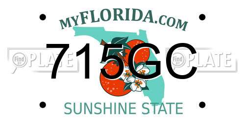 715GC Florida License Plate