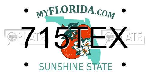 715TEX Florida License Plate