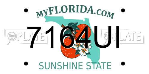 7164UI Florida License Plate