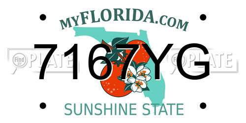 7167YG Florida License Plate