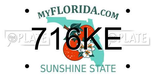 716KE Florida License Plate