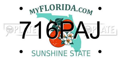 716PAJ Florida License Plate