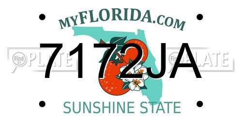 7172JA Florida License Plate