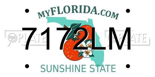 7172LM Florida License Plate