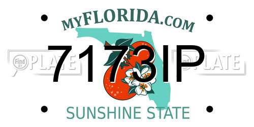 7173IP Florida License Plate