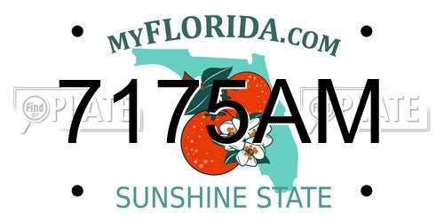 7175AM Florida License Plate