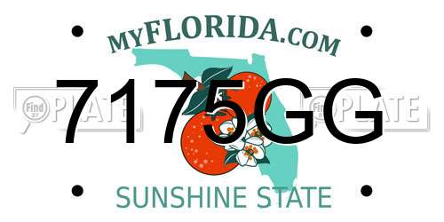 7175GG Florida License Plate