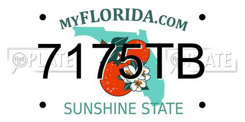 7175TB Florida License Plate