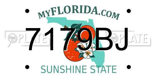 7179BJ Florida License Plate