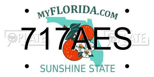 717AES Florida License Plate