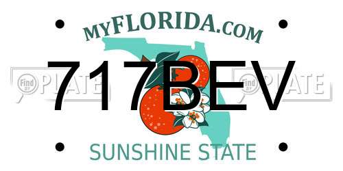 717BEV Florida License Plate