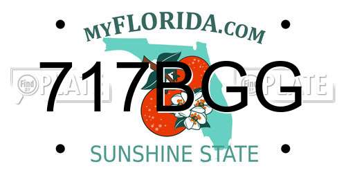 717BGG Florida License Plate