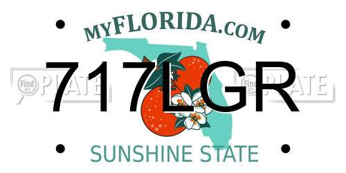 717LGR Florida License Plate