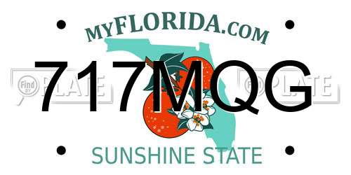 717MQG Florida License Plate