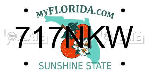 717NKW Florida License Plate