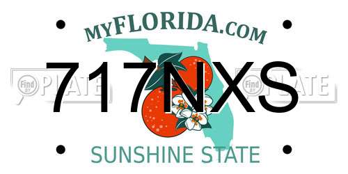 717NXS Florida License Plate