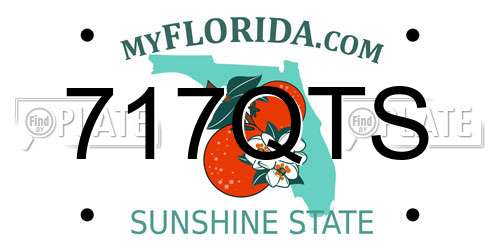 717QTS Florida License Plate
