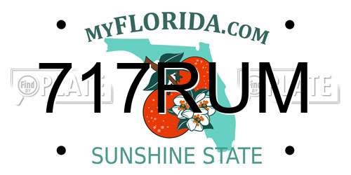 717RUM Florida License Plate