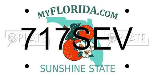 717SEV Florida License Plate