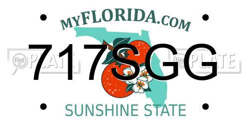 717SGG Florida License Plate