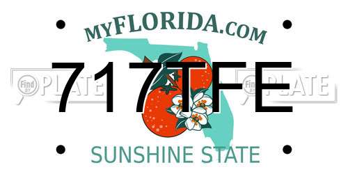 717TFE Florida License Plate