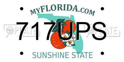 717UPS Florida License Plate