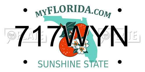717WYN Florida License Plate
