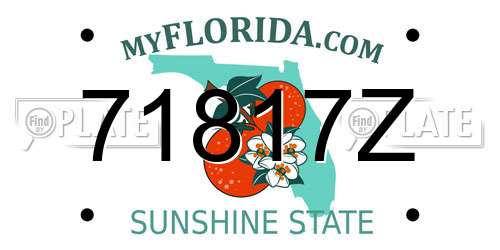 71817Z Florida License Plate