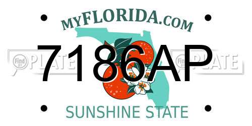7186AP Florida License Plate