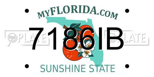 7186IB Florida License Plate