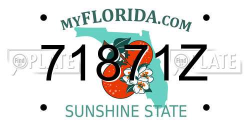 71871Z Florida License Plate