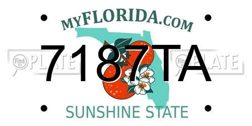 7187TA Florida License Plate
